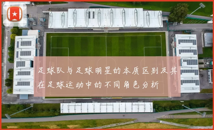 足球队与足球明星的本质区别及其在足球运动中的不同角色分析